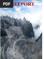 Download Opini Freeport by Doni SN309055051 doc pdf