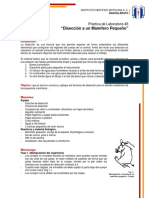 Práctica de Laboratorio3 TSB