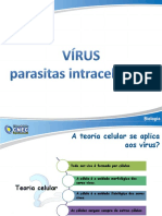 virus conceitos