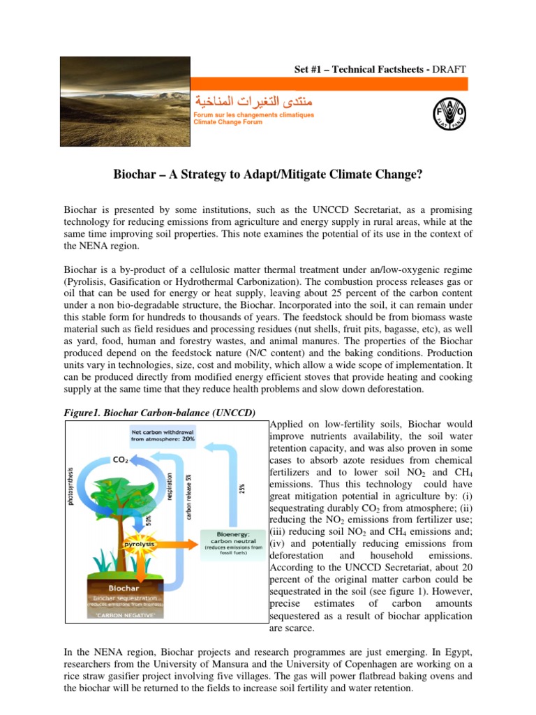 Biochar's Role in Climate Change Mitigation | PDF | Climate Change ...
