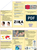 Everything You Need To Know About Zika Virus Whatyoucandoto Protect Yourself