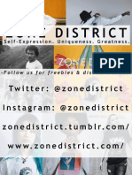 zonedistrictflyer mini2