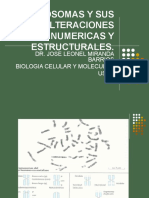 Cromosomas y Sus Alteraciones Numericas y Estructurales