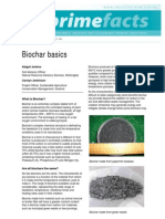 Biochar Basics