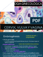 Patologia Cervical 2016