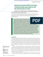 Trimeprazine Increases IRS2 in Human Islets and Promotes Pancreatic β Cell Growth and Function in Mice