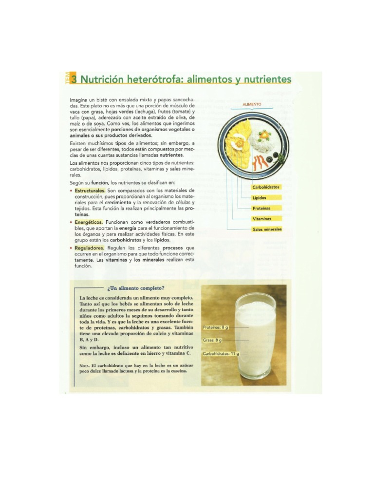 INFORMACI N SOBRE ALIMENTOS visual data 2