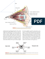 Extracted Pages From DeJong's The Neurologic Examination, 6E (2013) (PDF) (UnitedVRG)