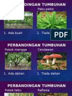 Perbandingan tumbuhan