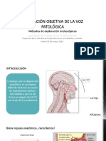 Evaluación Objetiva I PDF