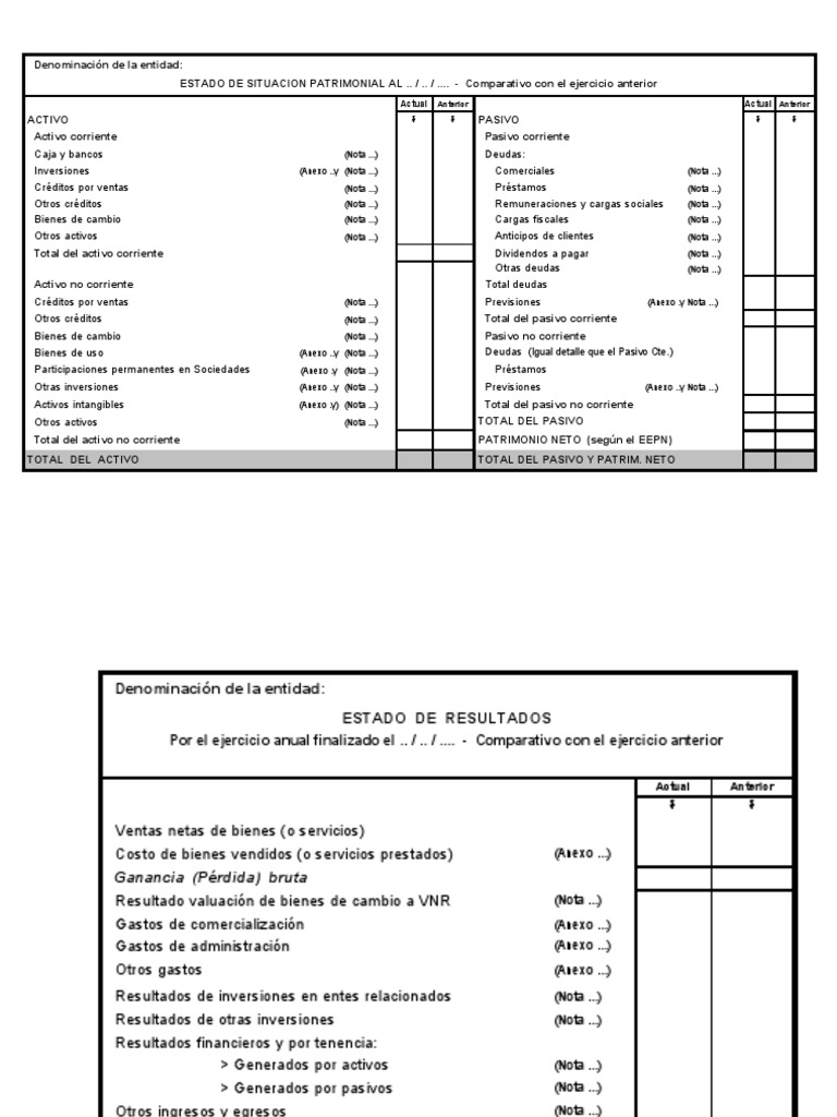 Modelos Estados Contables y Anexos | PDF | Dividendo | Interés
