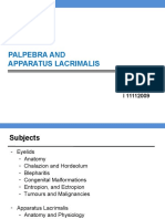 DT - Palpebrae & App - Lacrimal