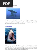 920 Gambar Hewan Di Darat Beserta Penjelasannya Terbaik