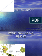 Understanding Peripheral Nerve Injuries