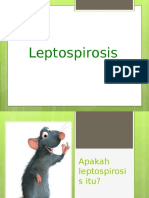 Penyuluhan-leptospirosis
