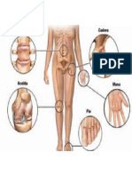 mapa del cuerpo