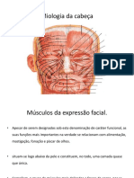 Aula de Anatomia Humana em Miologia Da Cabeça PDF