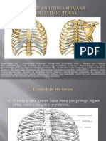 Aula em Anatomia Humana-Torax PDF