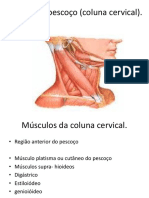 Miologia do pescoço.pdf