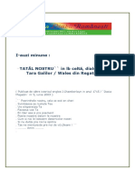 I11301tatal Nostru PDF