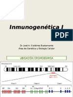 Inmunogenética II