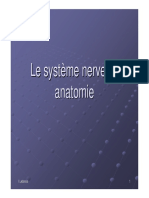 anatomie-systeme-nerveux.pdf