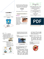 Leaflet DBD.doc