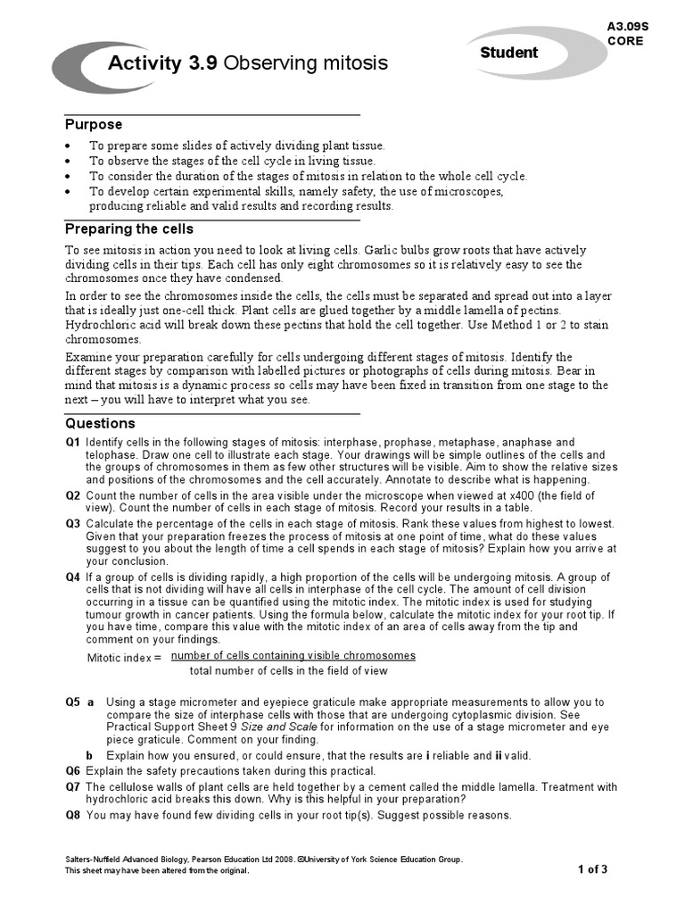 Mitosis in root tips lab report image