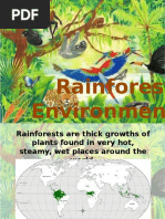 Rainforest Environment