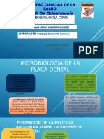 Microbiología de La Placa Dental