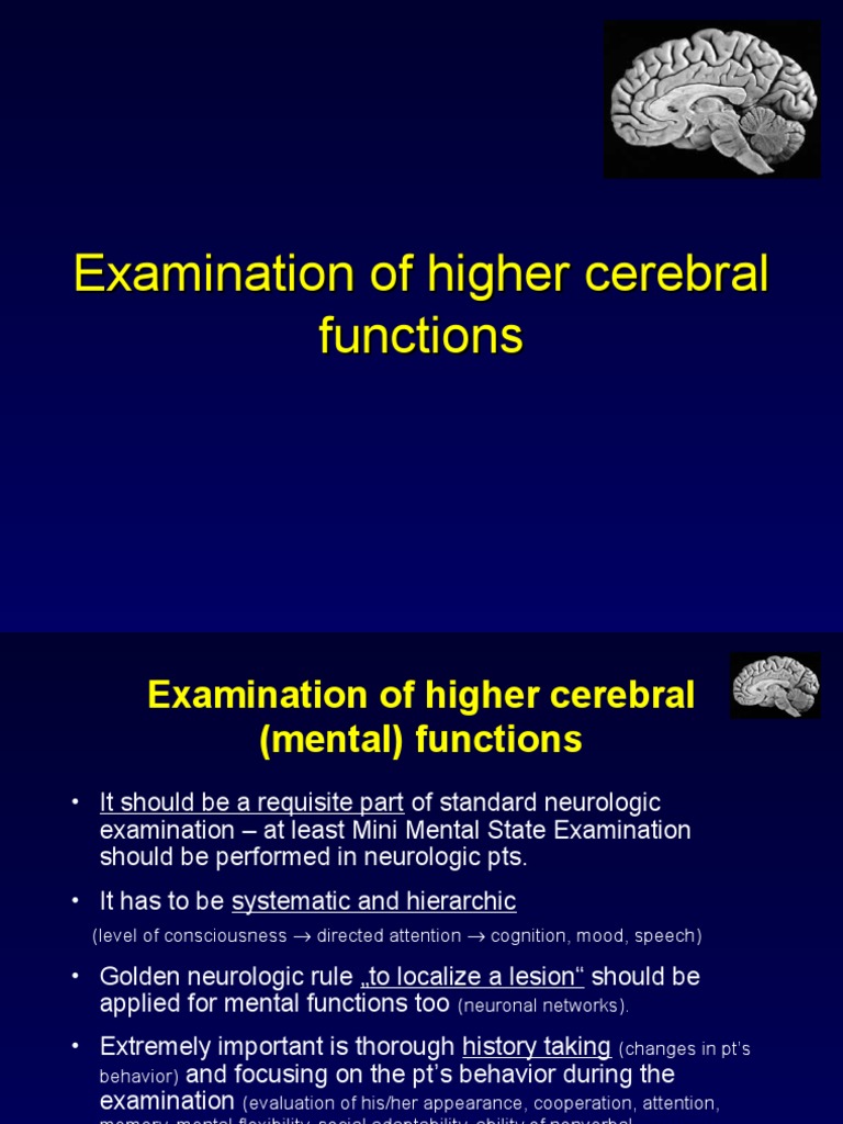 Higher Mental Function Examination Guide | PDF | Memory | Attention