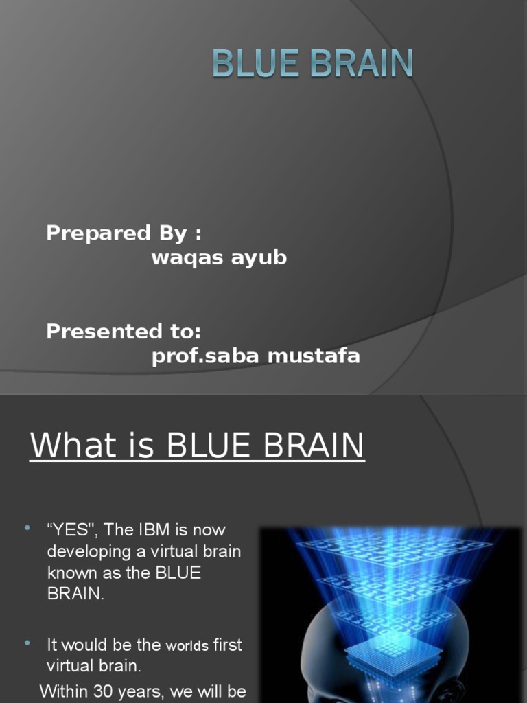 Blue Brain IT | PDF