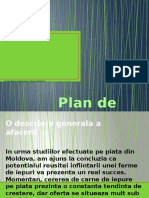 pLan de Afaceri