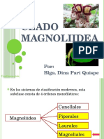 Clado Magnoliidea 2