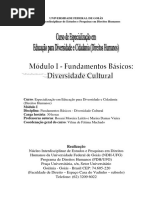 Diversidade Cultural 