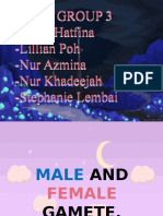 Group 3 - Farah Hatfina - Lillian Poh - Nur Azmina - Nur Khadeejah - Stephanie Lembai