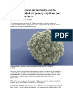 Científicos Crean Un Microbio Con La Menor Cantidad de Genes y Explican Por Qué Es Importante