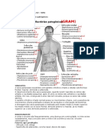 Principais bactérias e patógenos em sinusites e asma