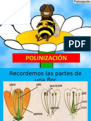 Polinización | PDF