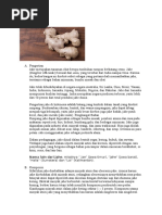 Download JAHE by Aurora Andari Amelia SN309430788 doc pdf