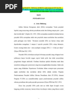 Download Pengetahuan Tentang ISPA Pada Ibu Yang Memiliki Balita Sakit ISPA Yang Berobat Ke Puskesmas KTI KEBIDANAN by haidar rz SN30944826 doc pdf
