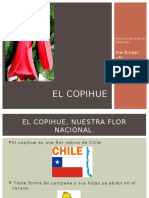 El Copihue