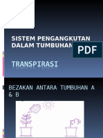 Sistem pengangkutan dalam tumbuhan