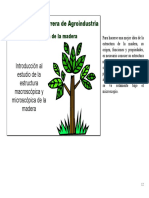 Microsoft Word - Estructura de La Madera _hor