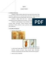 BAB 2 Pedikulosis