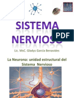 Sistema Nervioso Abril 2010