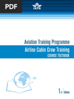 Download Airline Cabin Crew Training by Nancy Nancy SN309498533 doc pdf