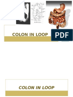 Radiologi Colon in loop