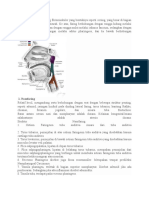 Faring Adalah Suatu Kantung Fibromuskuler Yang Bentuknya Seperti Corong