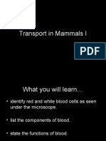 transport in human ppt